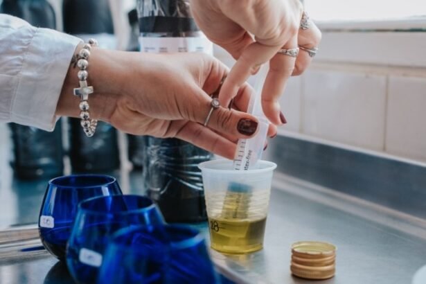 ArgOliva 2026 en San Juan: concurso internacional de aceite de oliva