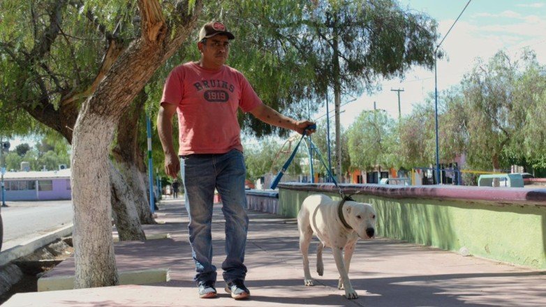Mascotas: operativos gratuitos en Chimbas y Pocito