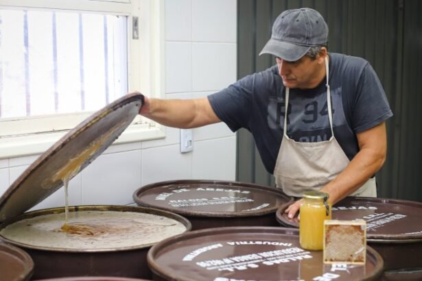 Semana de la Miel Sanjuanina: agenda completa del 29 de junio al 4 de julio