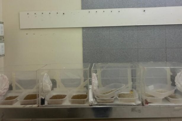 Mosca de los Frutos: San Juan incorpora material biológico para fortalecer el control