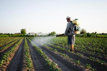 Productores sanjuaninos podrán financiar agroquímicos con créditos de hasta $30 millones