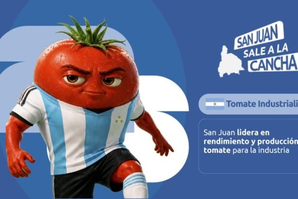 Tomate sanjuanino: datos de una cadena productiva líder en el país