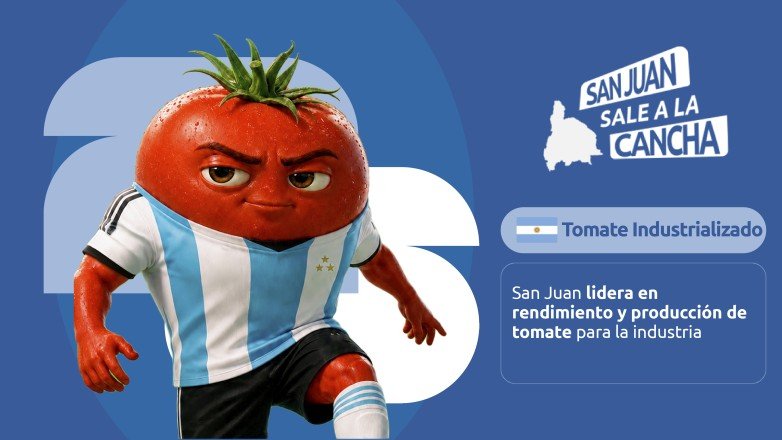 Tomate sanjuanino: datos de una cadena productiva líder en el país