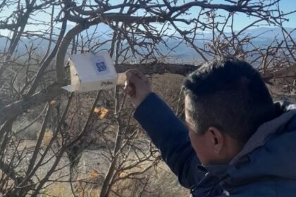 El sector agrícola de San Juan adopta tecnología para monitoreo en campo