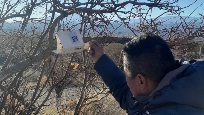 El sector agrícola de San Juan adopta tecnología para monitoreo en campo