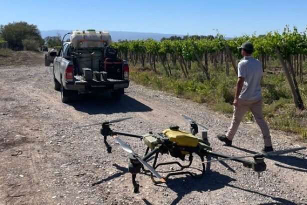 Entrega de insecticida para controlar Lobesia botrana en San Juan