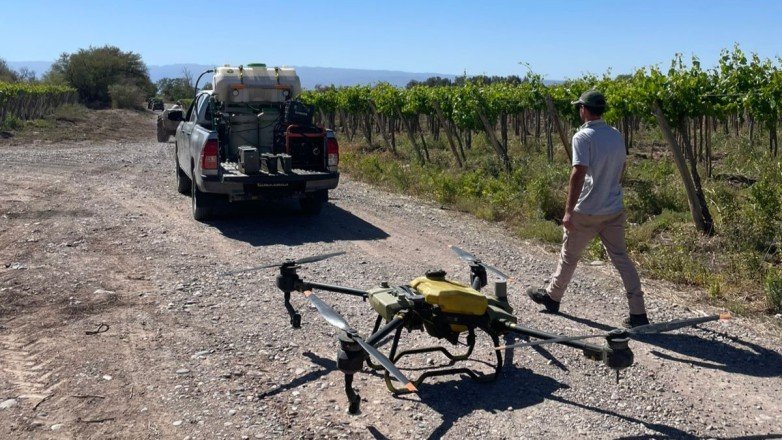 Entrega de insecticida para controlar Lobesia botrana en San Juan